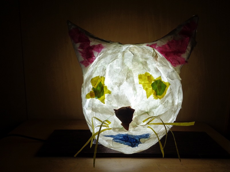 ねこ