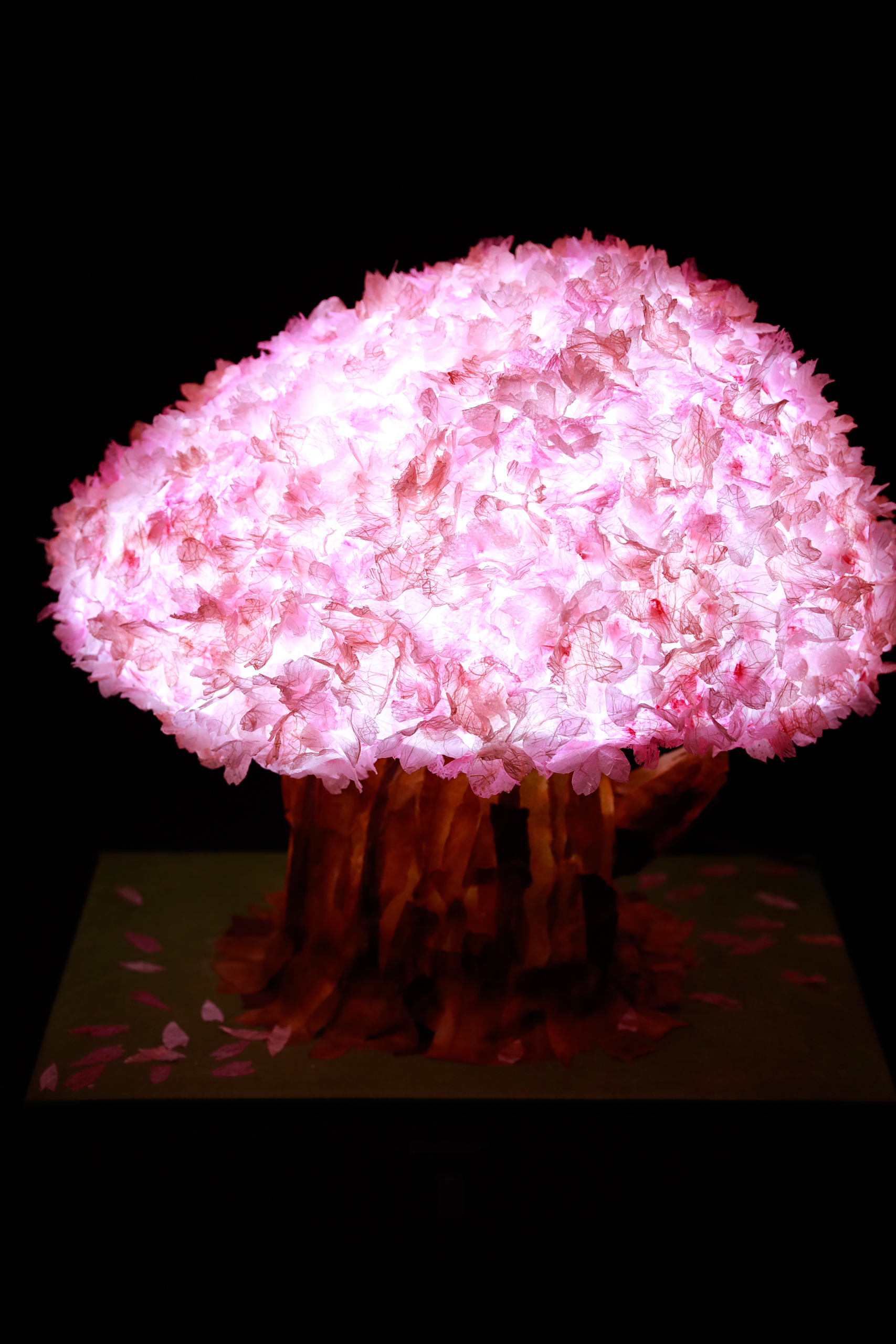 春に咲く美濃の桜