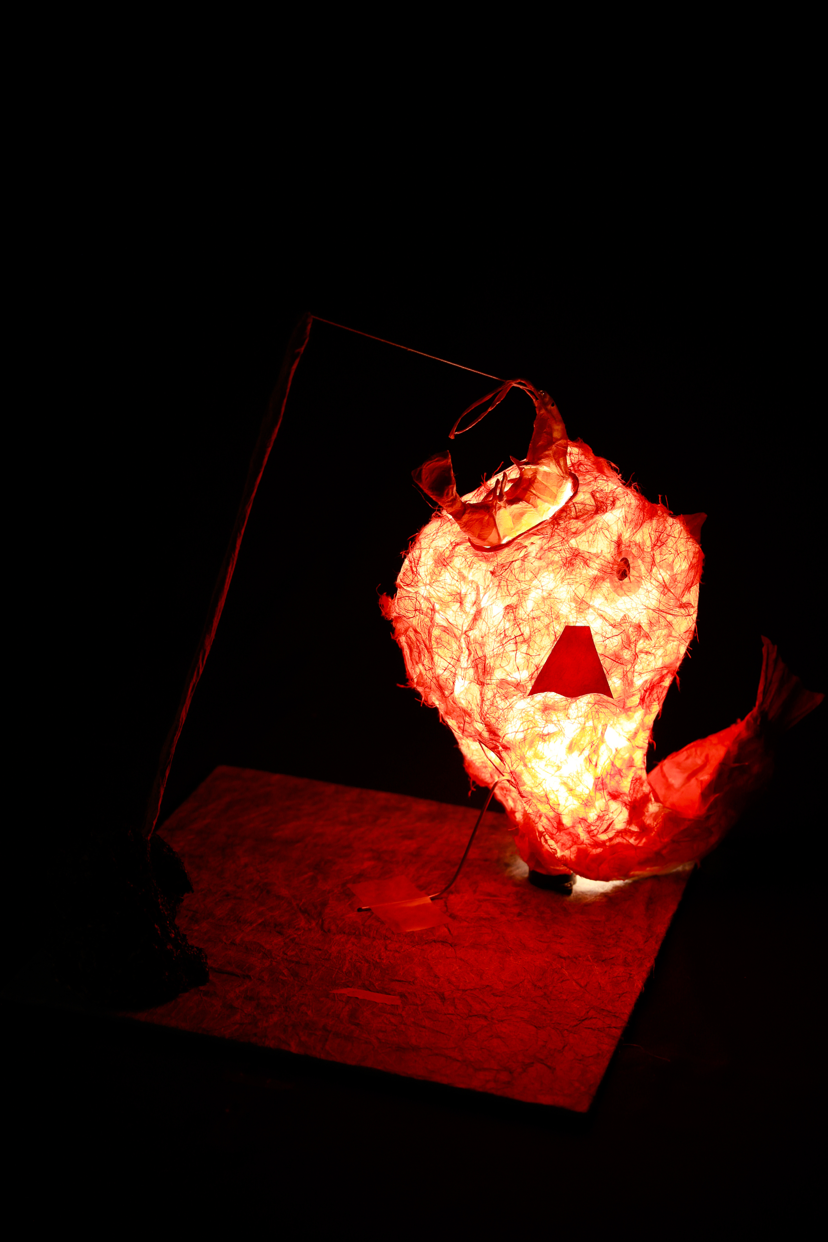 えびでたいを釣る