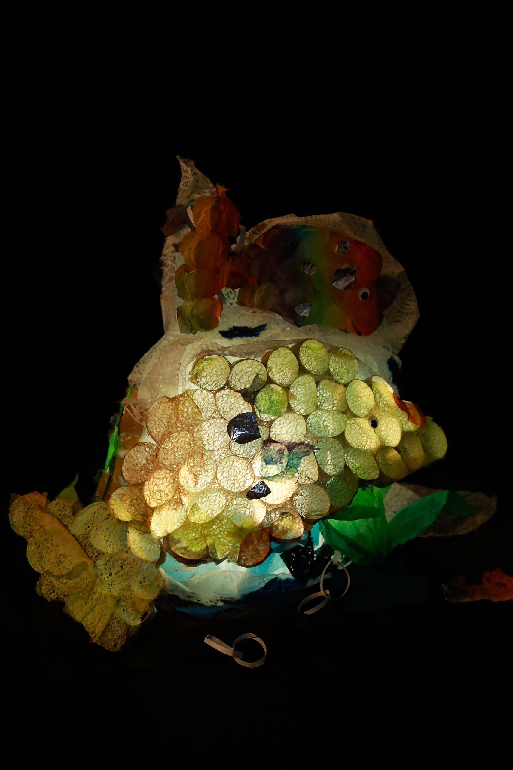 にじいろの魚たち