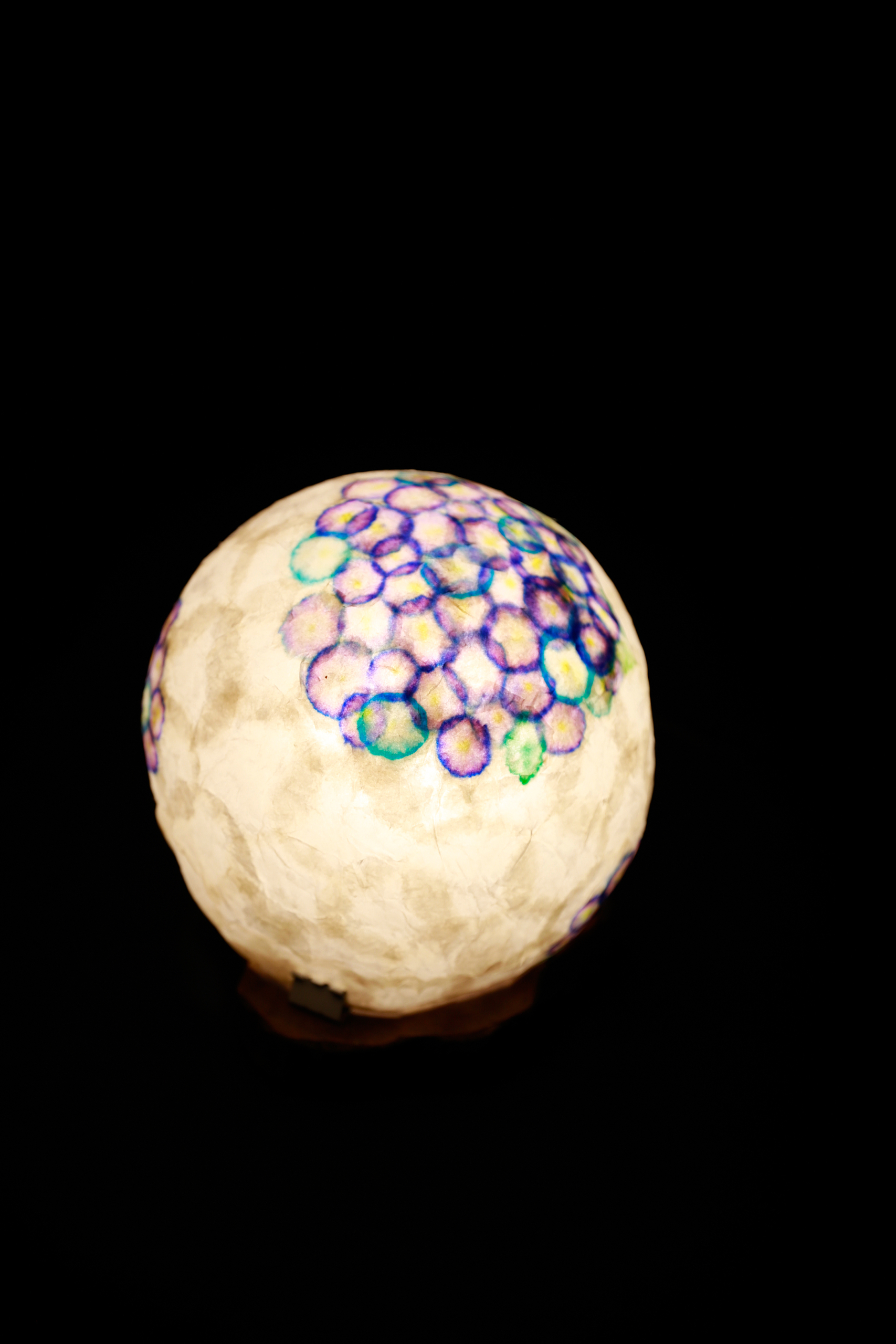 雨上がりのあじさい