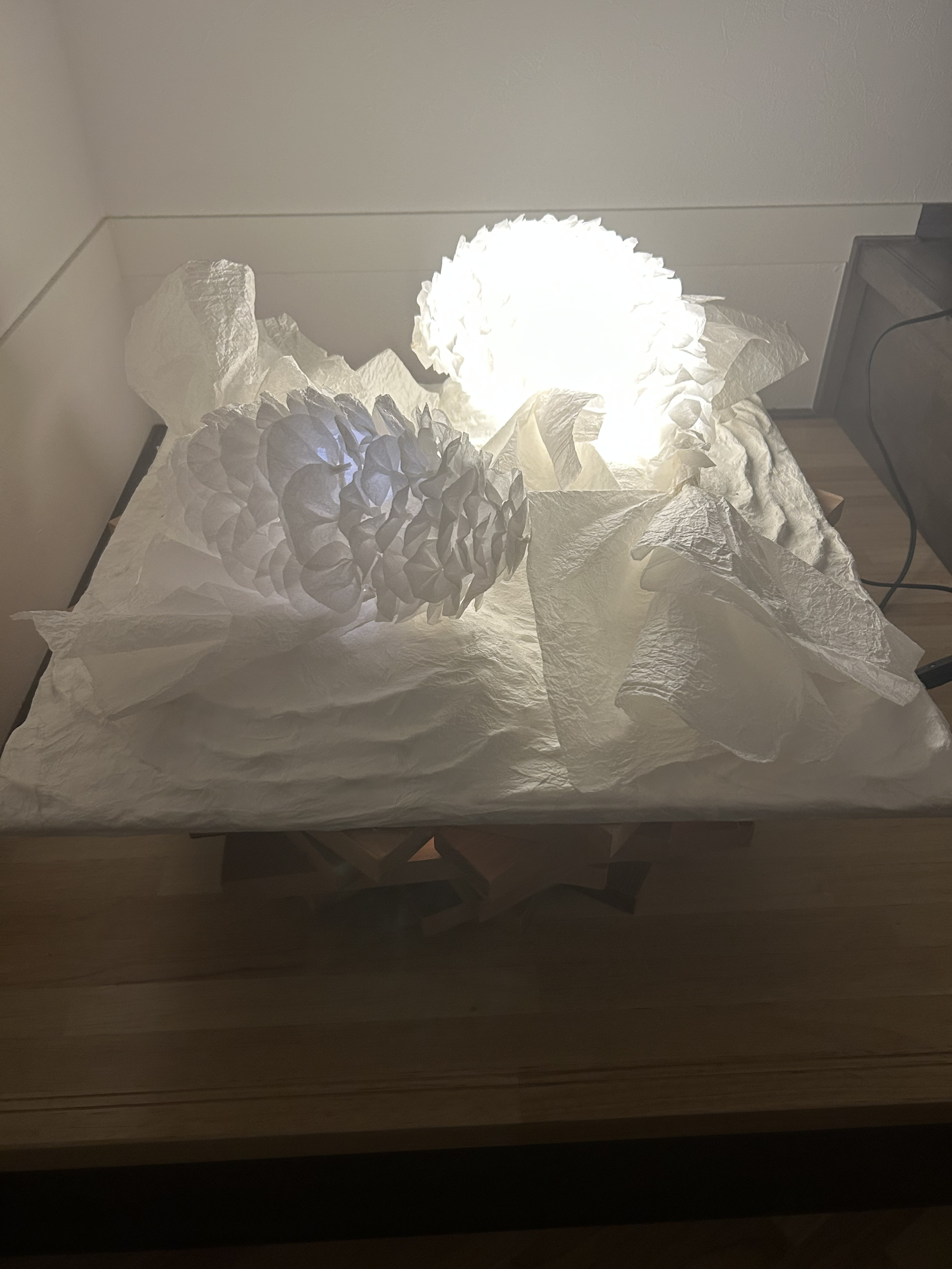 燈ノ鯉