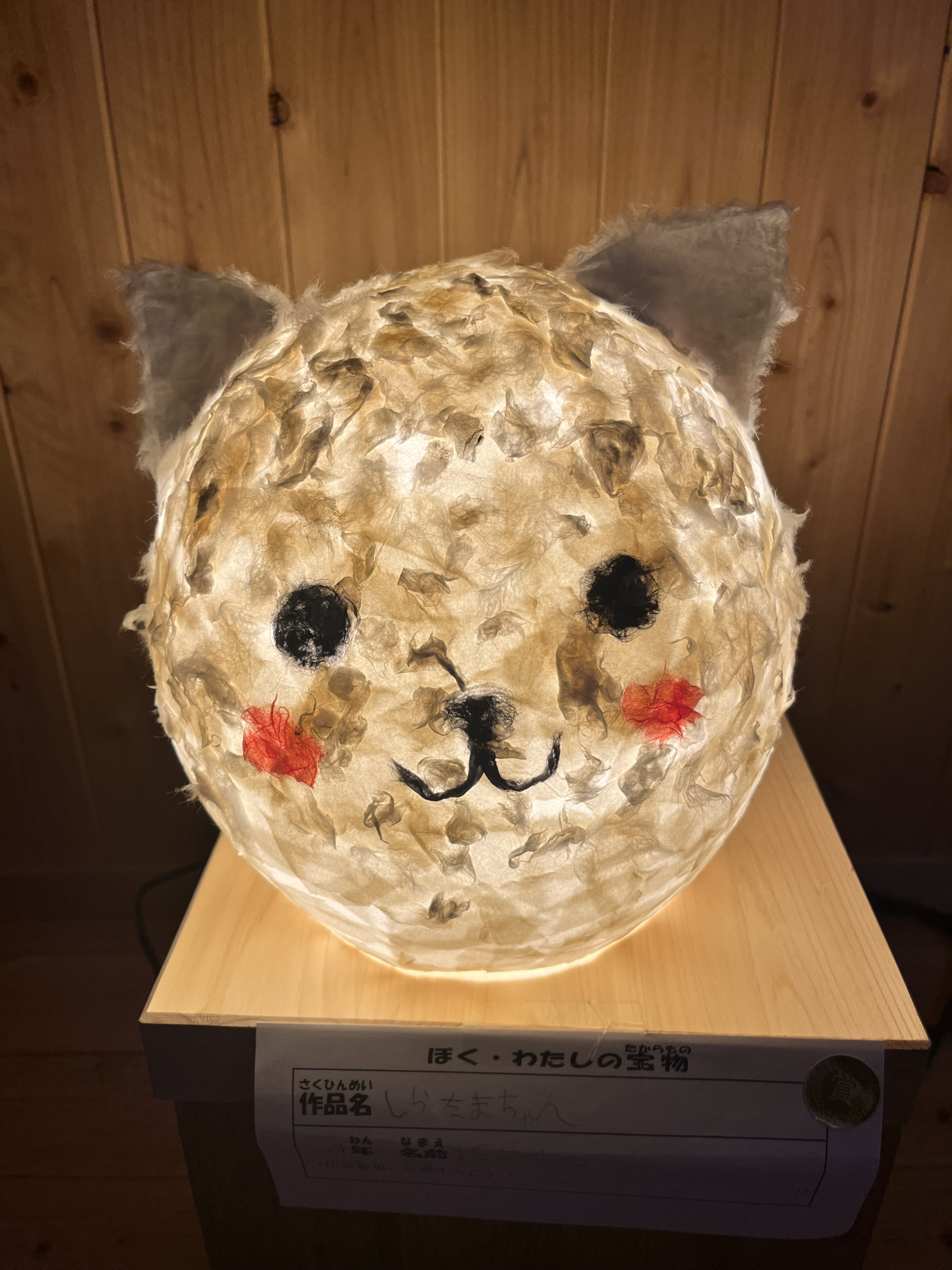 しらたまちゃん