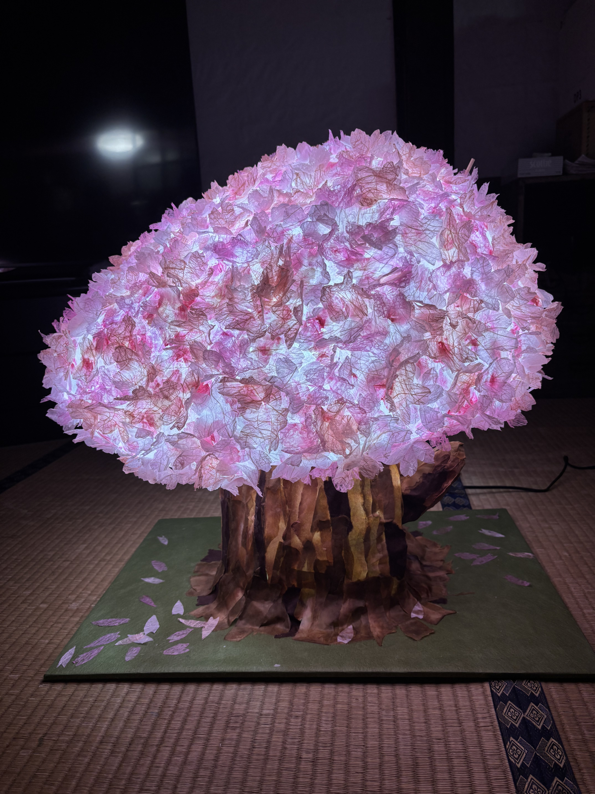 春に咲く美濃の桜