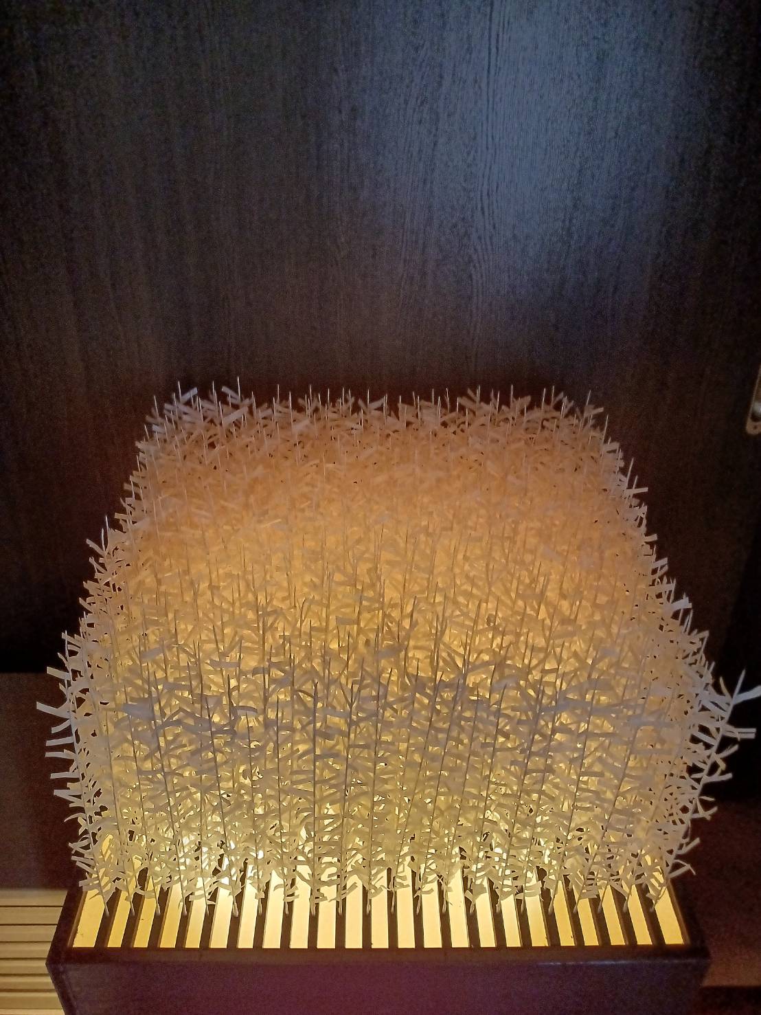 森林